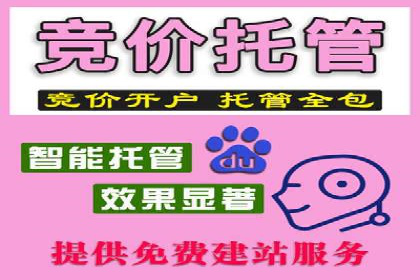 企业SEM服务实战案例解析